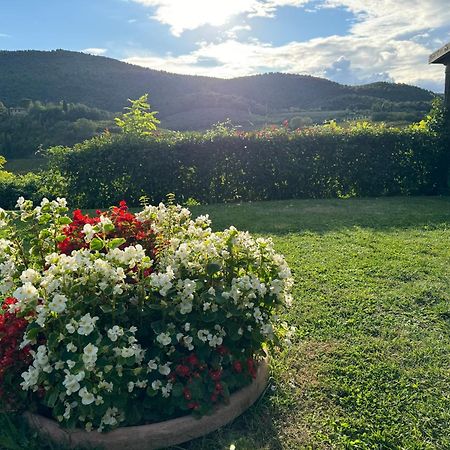 Villa Del Sole サン・ジミニャーノ エクステリア 写真